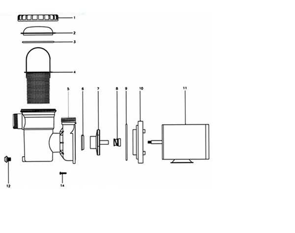 32 Jacuzzi Pool Pump Parts Diagram - Wiring Diagram Database