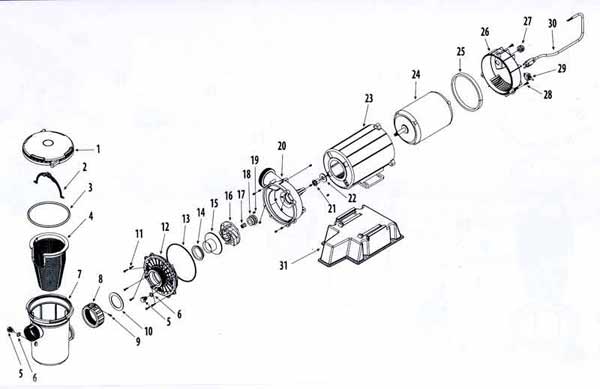 35 Waterway Pump Parts Diagram