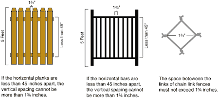 Swimming Pool Fences